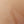 SW-SAC0018771001-S021.jpg