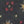SW-SAC0018840001-S186.jpg