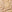SW-SAC0018890001-S020.jpg