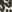 SW-SAC0018892001-S172.jpg