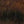 SW-SAC0019230001-S247.jpg