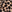SW-SAC0019414001-S166.jpg