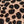 SW-SAC0019414001-S166.jpg
