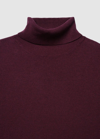 Pull à col roulé uni