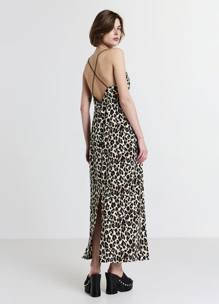 WORNG-SAB0072593001-SC69-FULLBACK.jpg