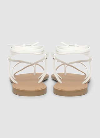 STILLG-SAC0017570001-S347-FULLBACK.jpg