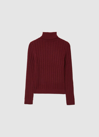 Pull à col roulé et tresses