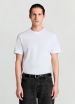 Short-sleeved T-shirt Man Calliope det_2