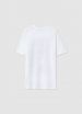 Short-sleeved T-shirt Boys Calliope Kids det_5