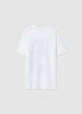 Short-sleeved T-shirt Boys Calliope Kids det_5
