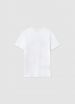 Short-sleeved T-shirt Boys Calliope Kids det_5