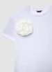 Short-sleeved T-shirt Woman Calliope st_a3