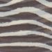 Tylový sveter so vzorom zebry Var ultrablack