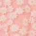 Tüllhemd mit Gänseblümchen-Stickerei Var rosa antico chiaro