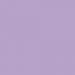 Bold slipper Lavender