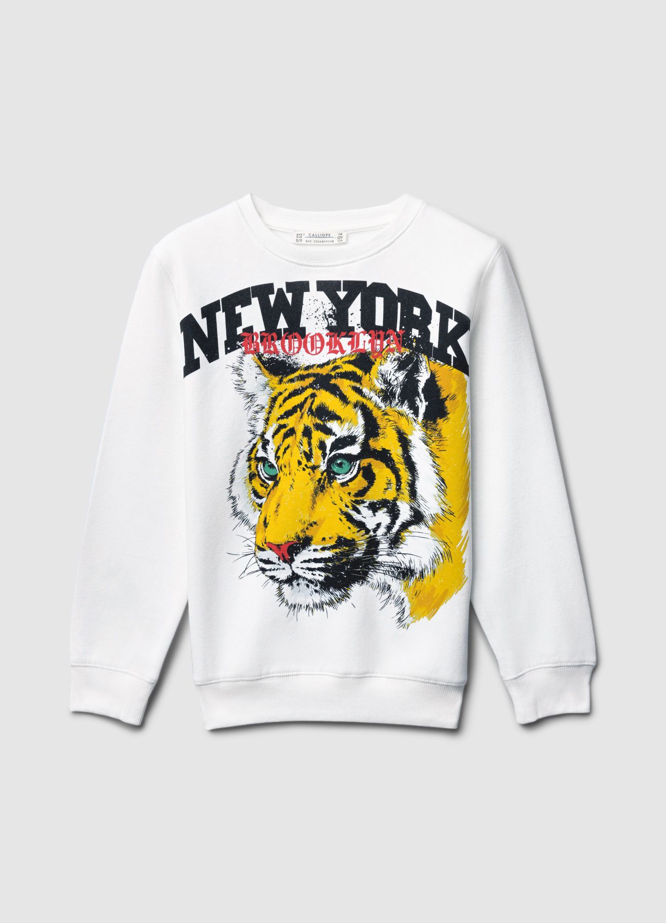 Sweat shirt Boys Calliope Kids det_4