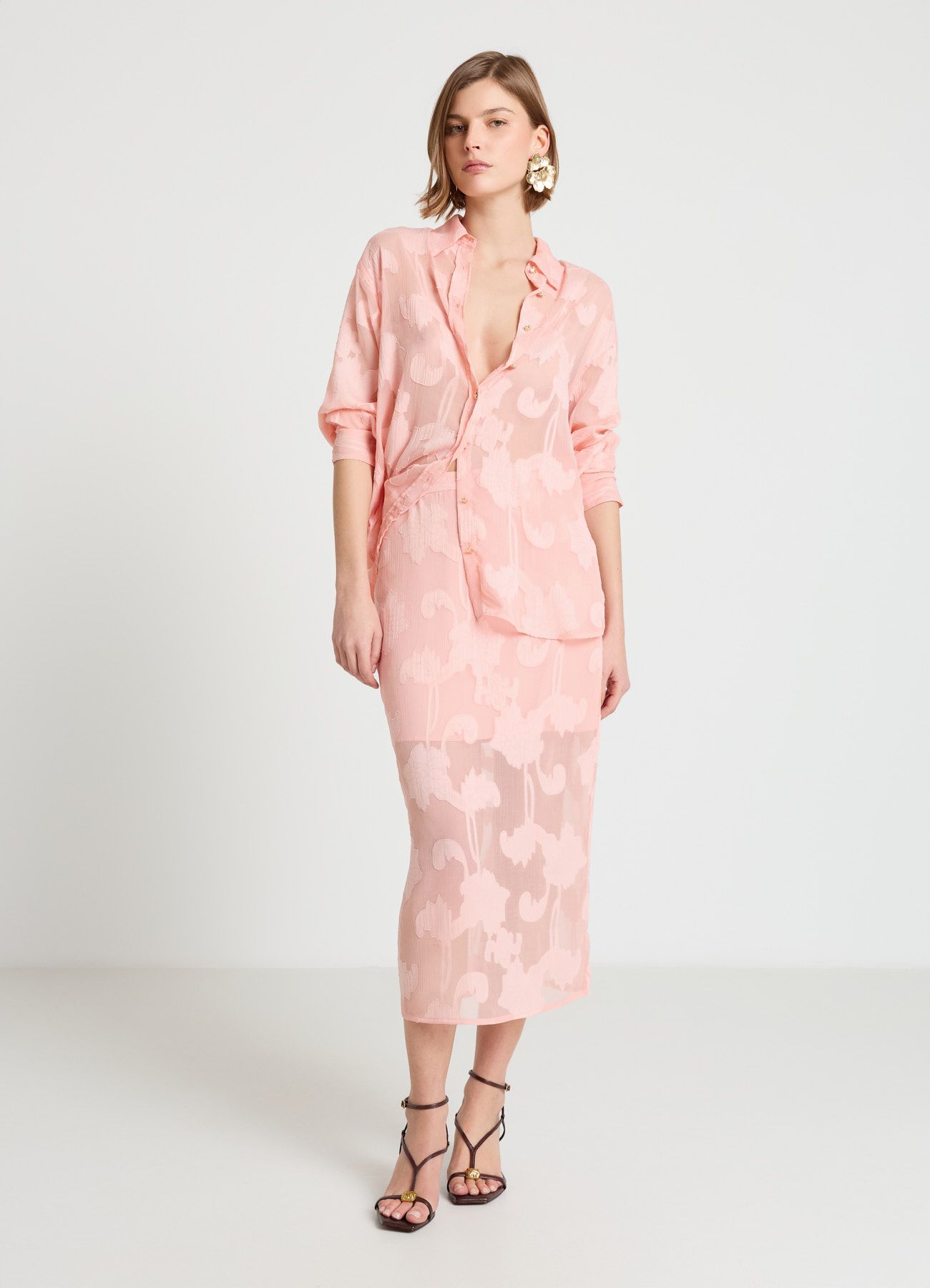 Kosela ML Zena Calliope