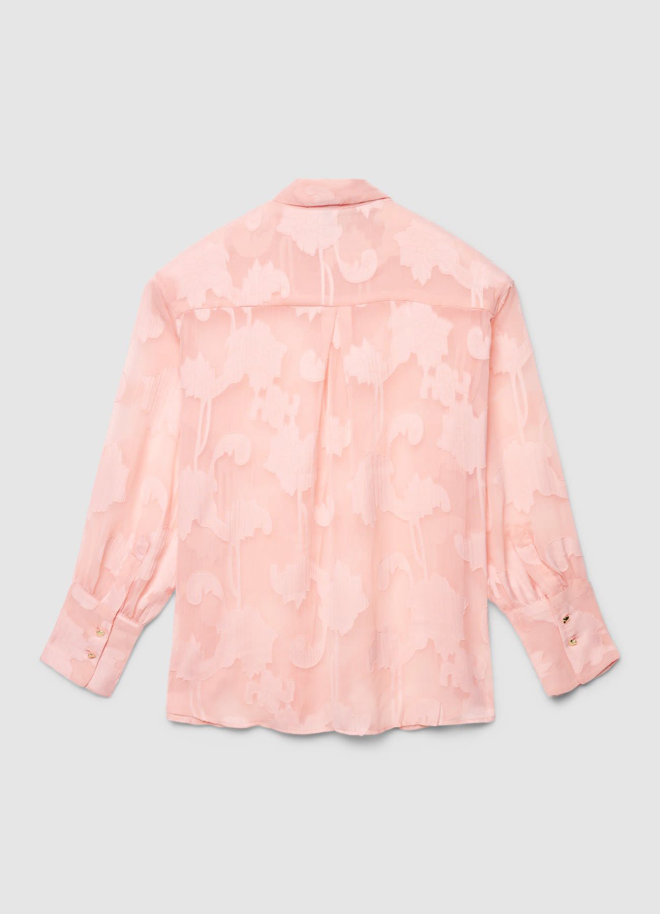 Kosela ML Zena Calliope det_5