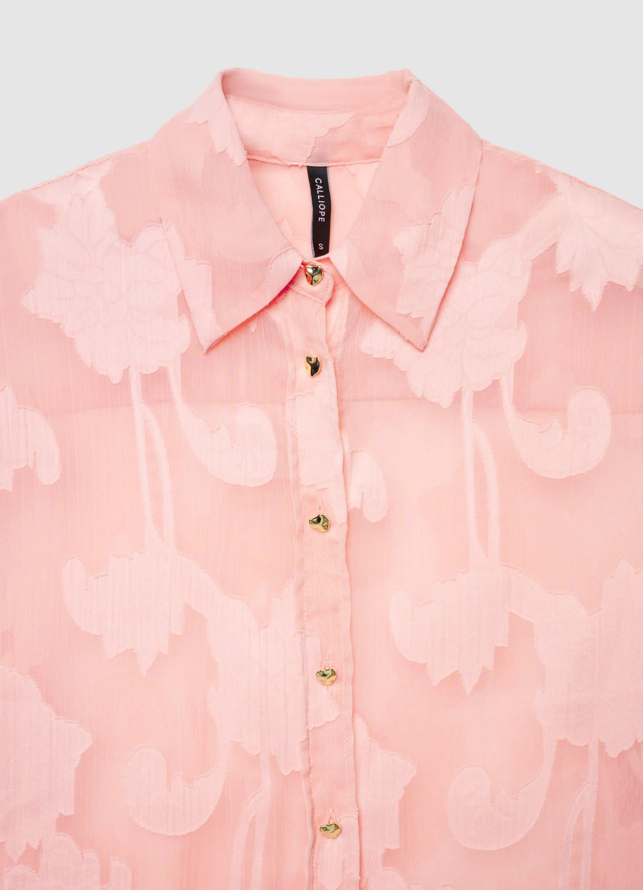 Kosela ML Zena Calliope st_a3