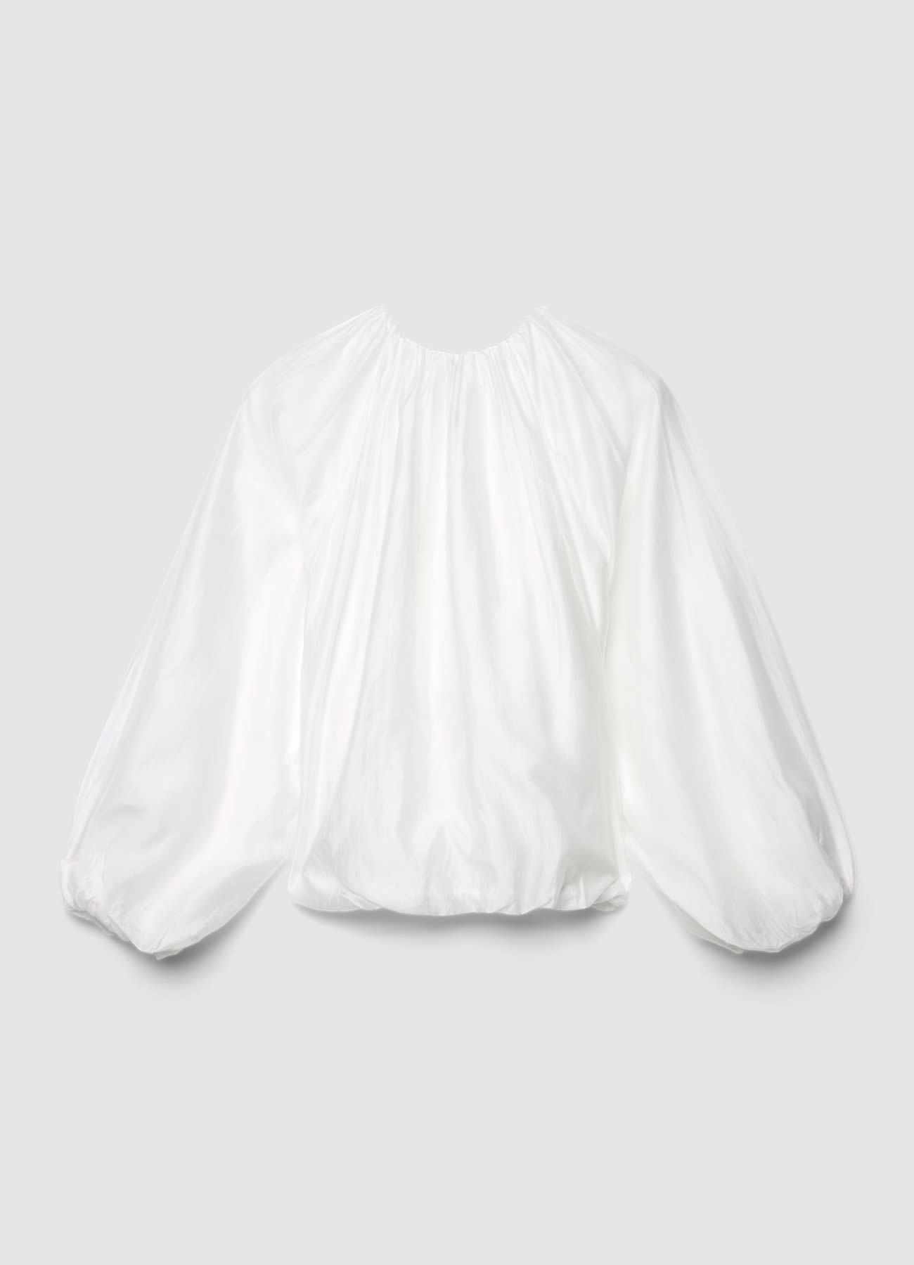 Kosela ML Zena Calliope det_5