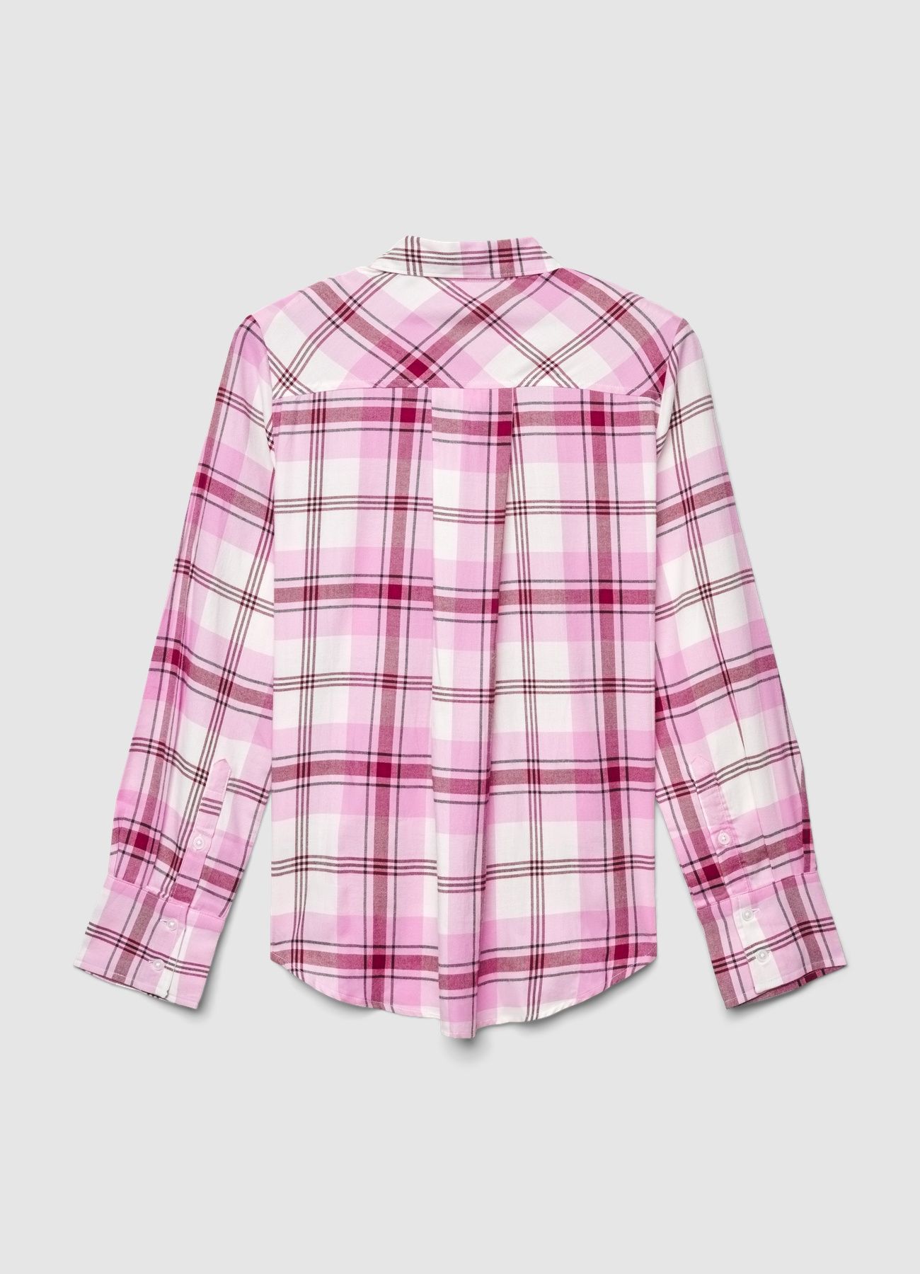 Kosela ML Zena Calliope det_5