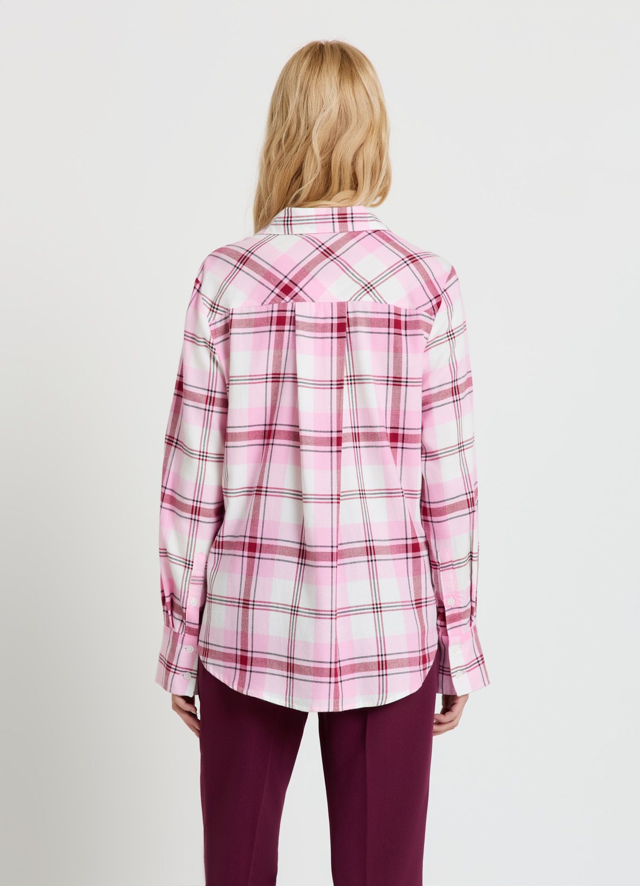 Kosela ML Zena Calliope in_i4