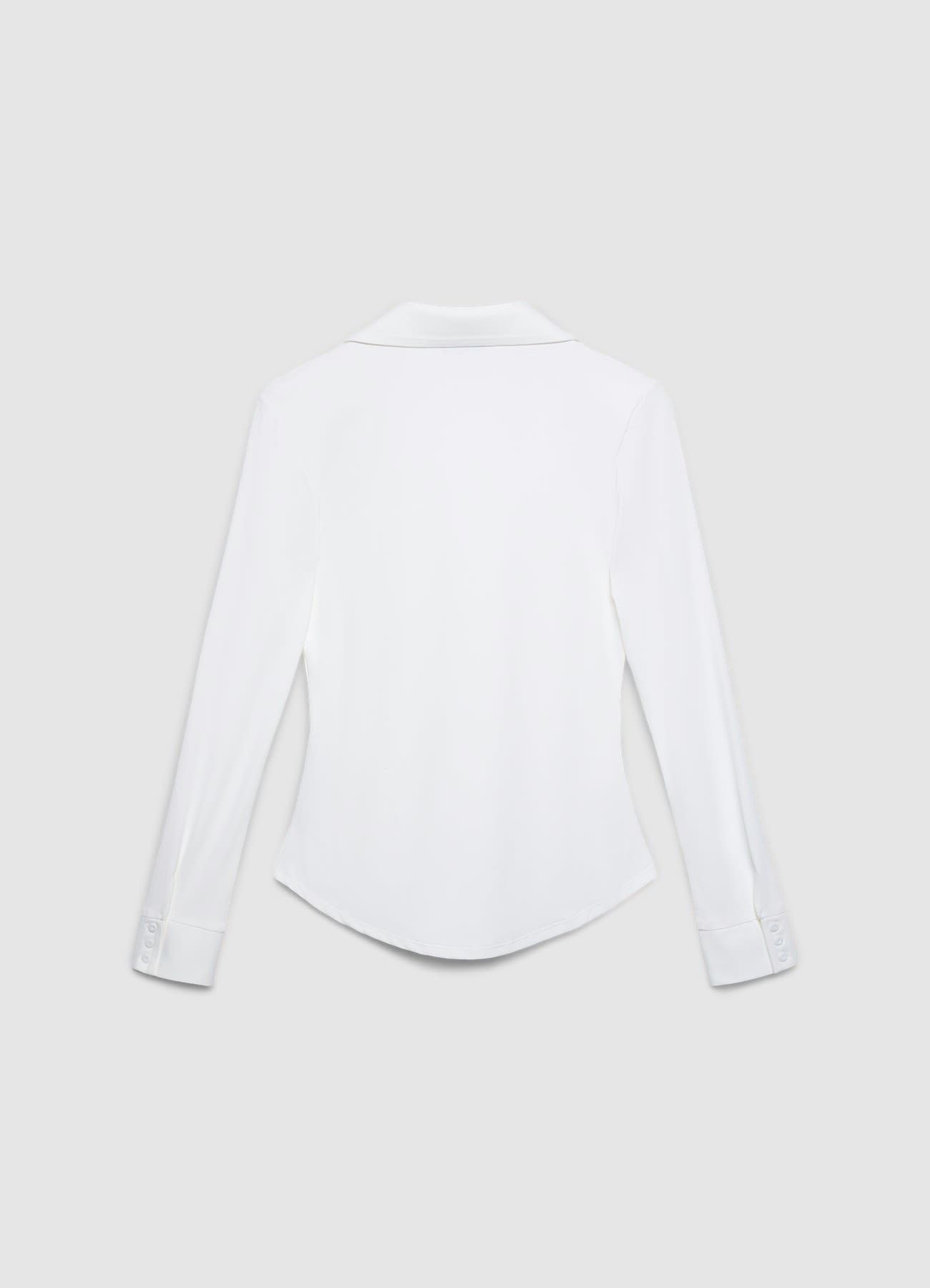 Kosela ML Zena Calliope det_5