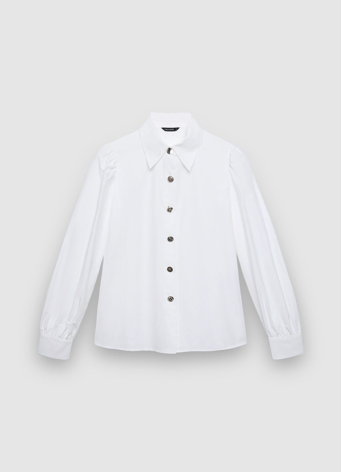 Kosela ML Zena Calliope det_4