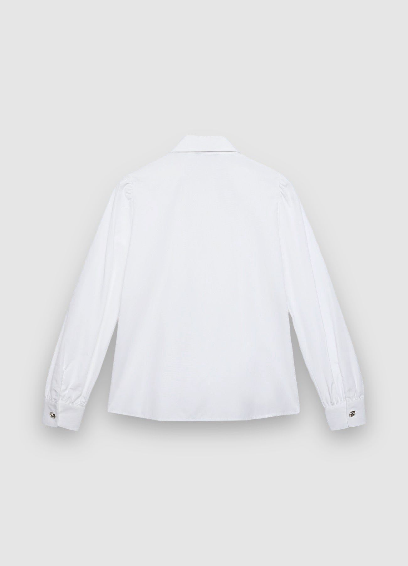 Kosela ML Zena Calliope det_5