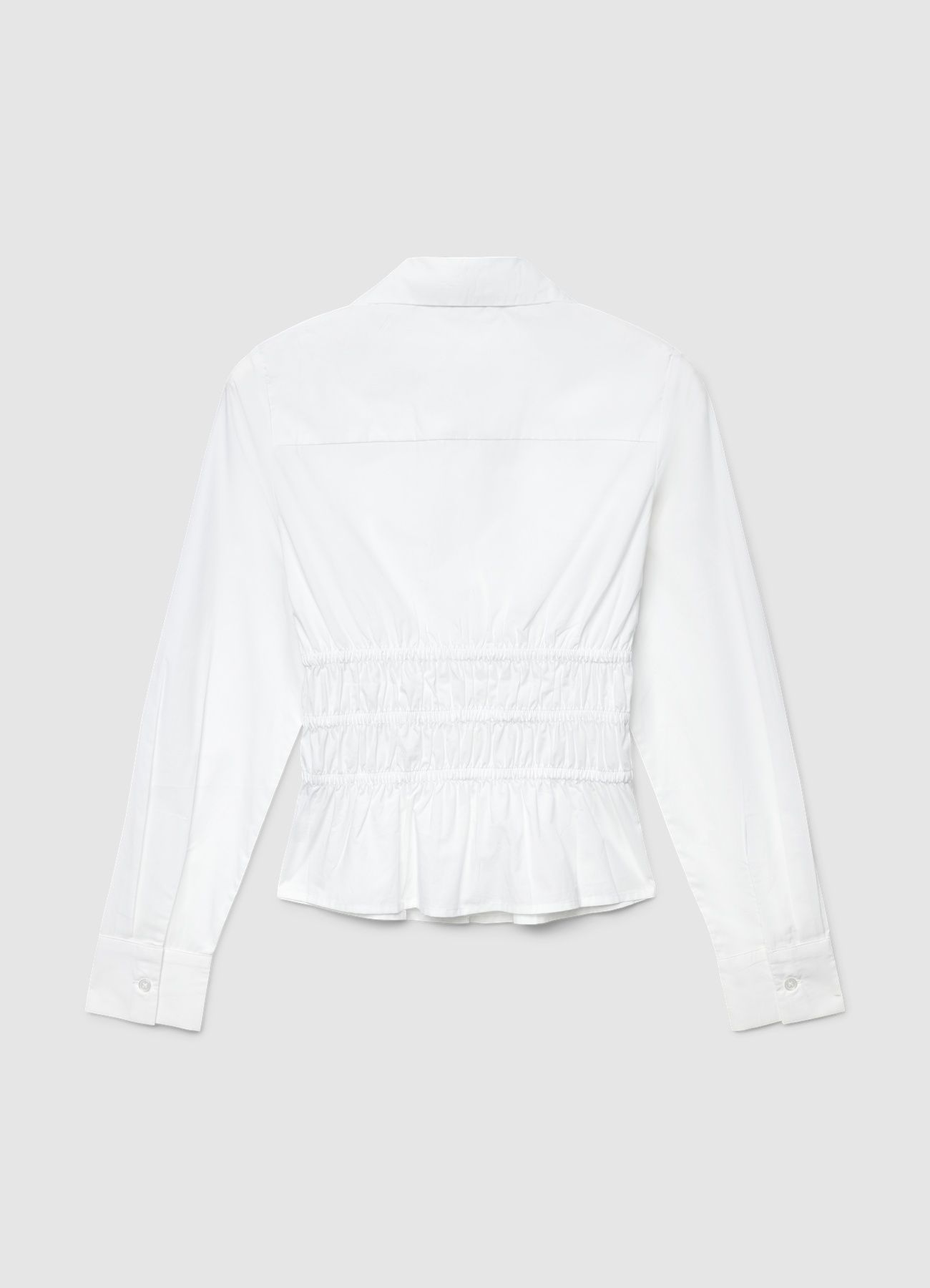 Kosela ML Zena Calliope det_5