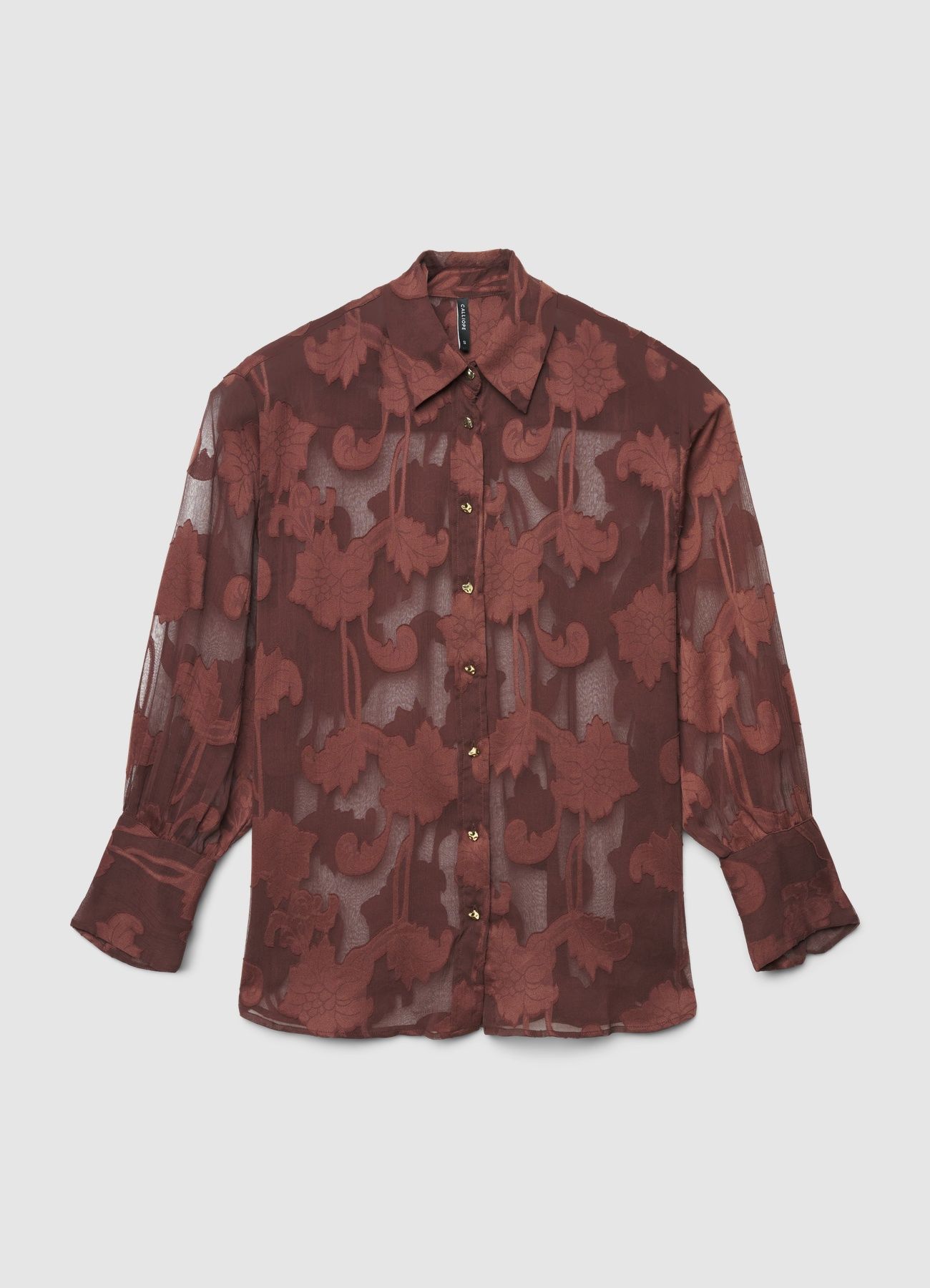 Kosela ML Zena Calliope det_4