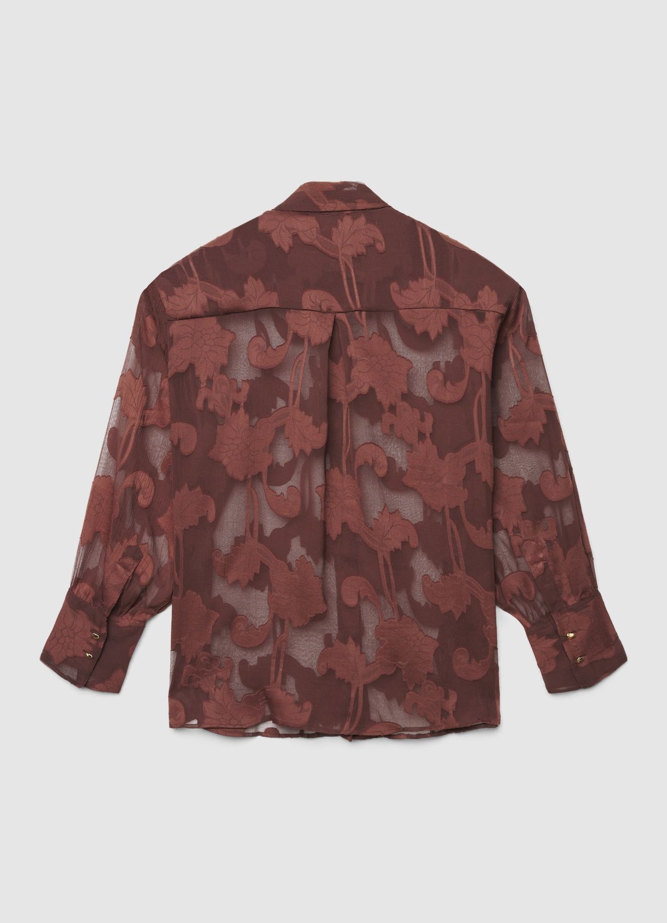 Kosela ML Zena Calliope det_5