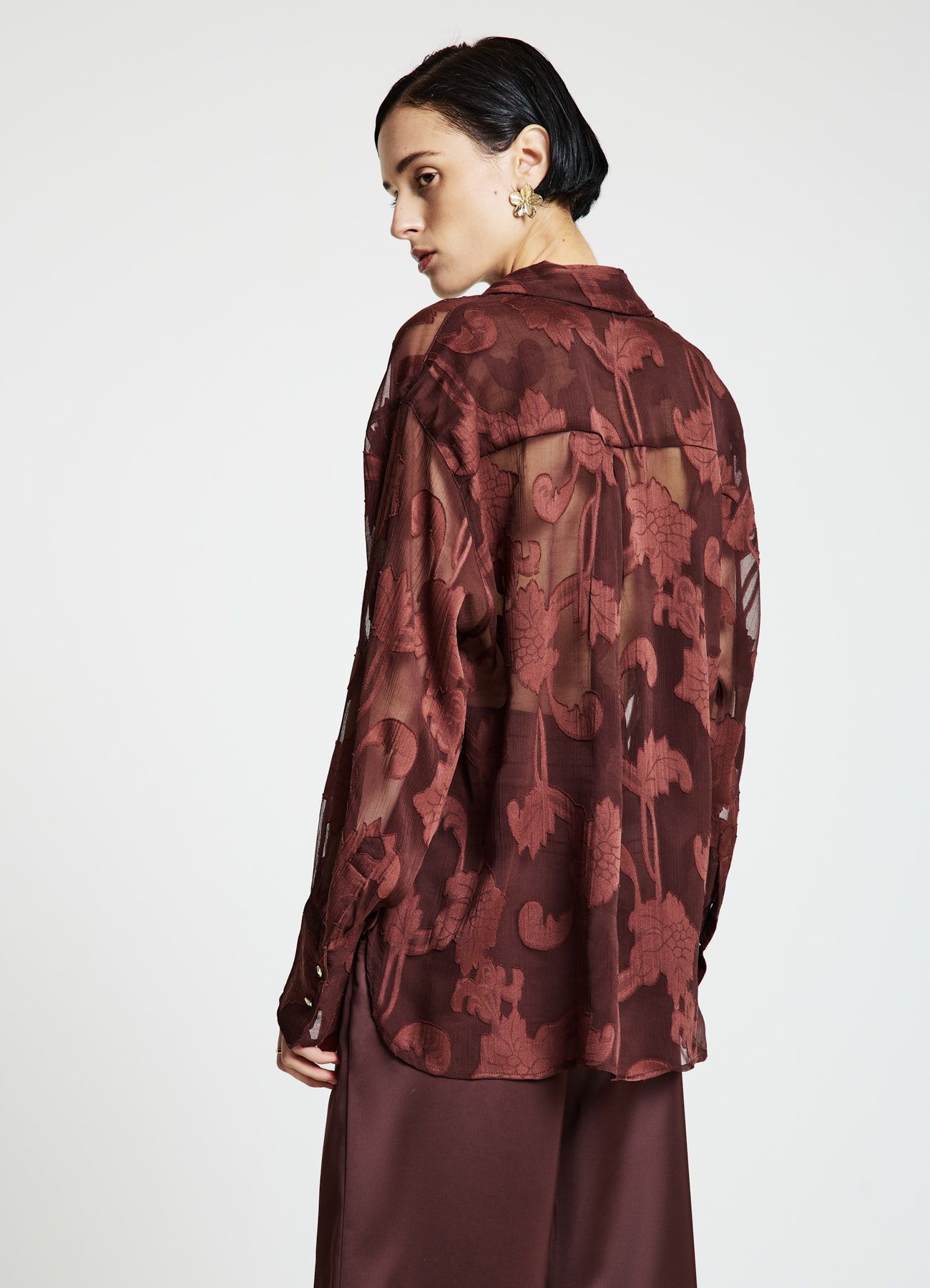 Kosela ML Zena Calliope in_i4