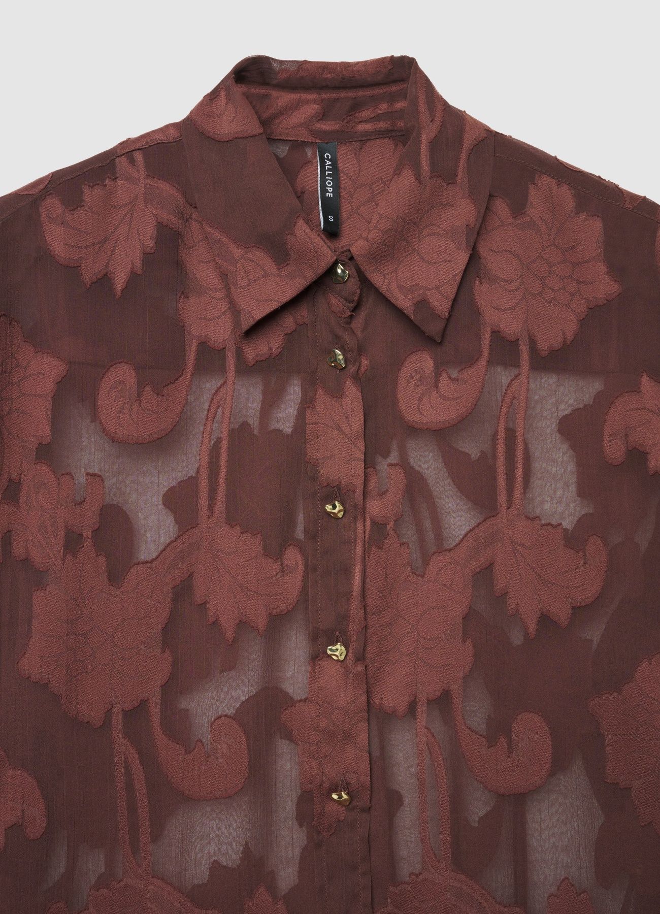 Kosela ML Zena Calliope st_a3