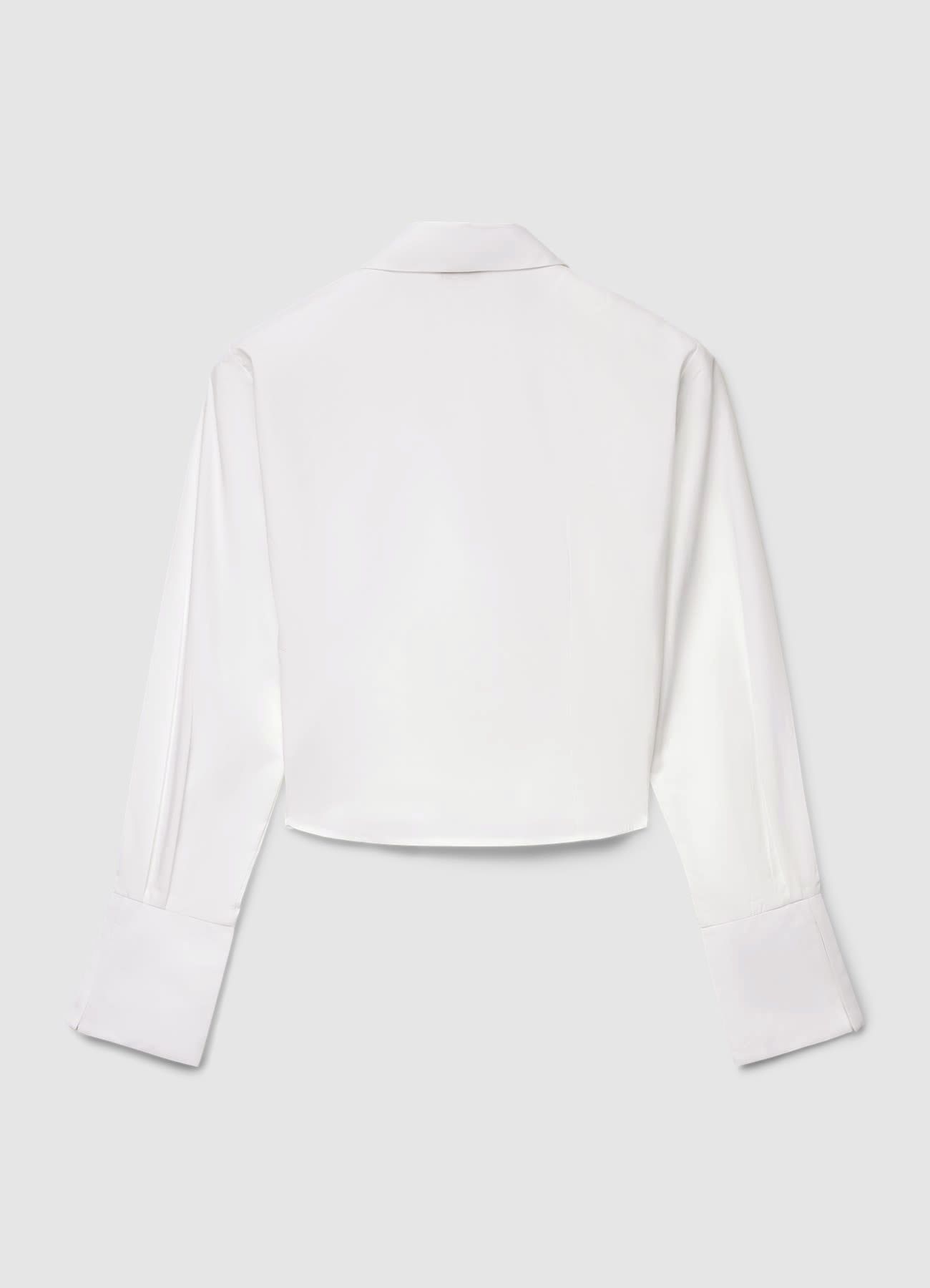 Kosela ML Zena Calliope det_5