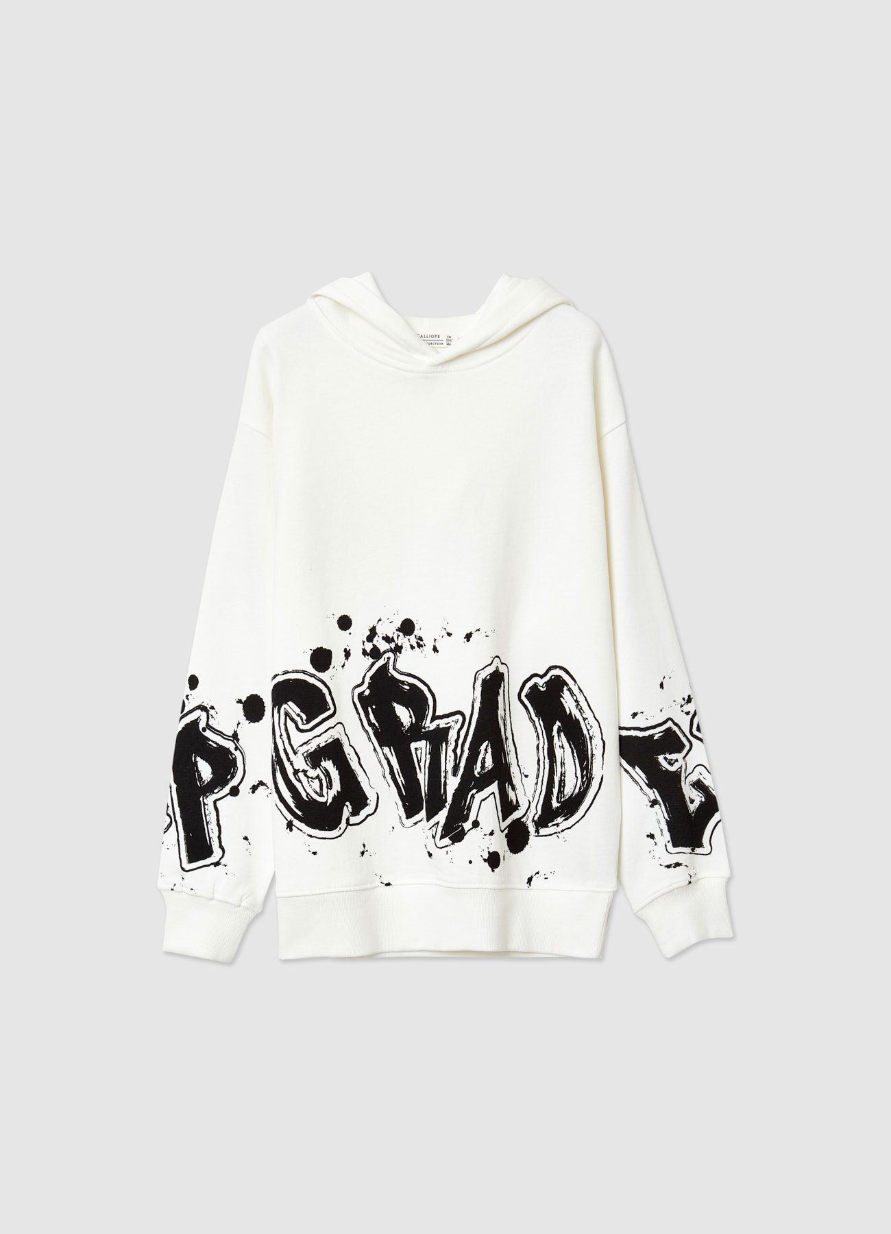 Sweat shirt Boys Calliope Kids