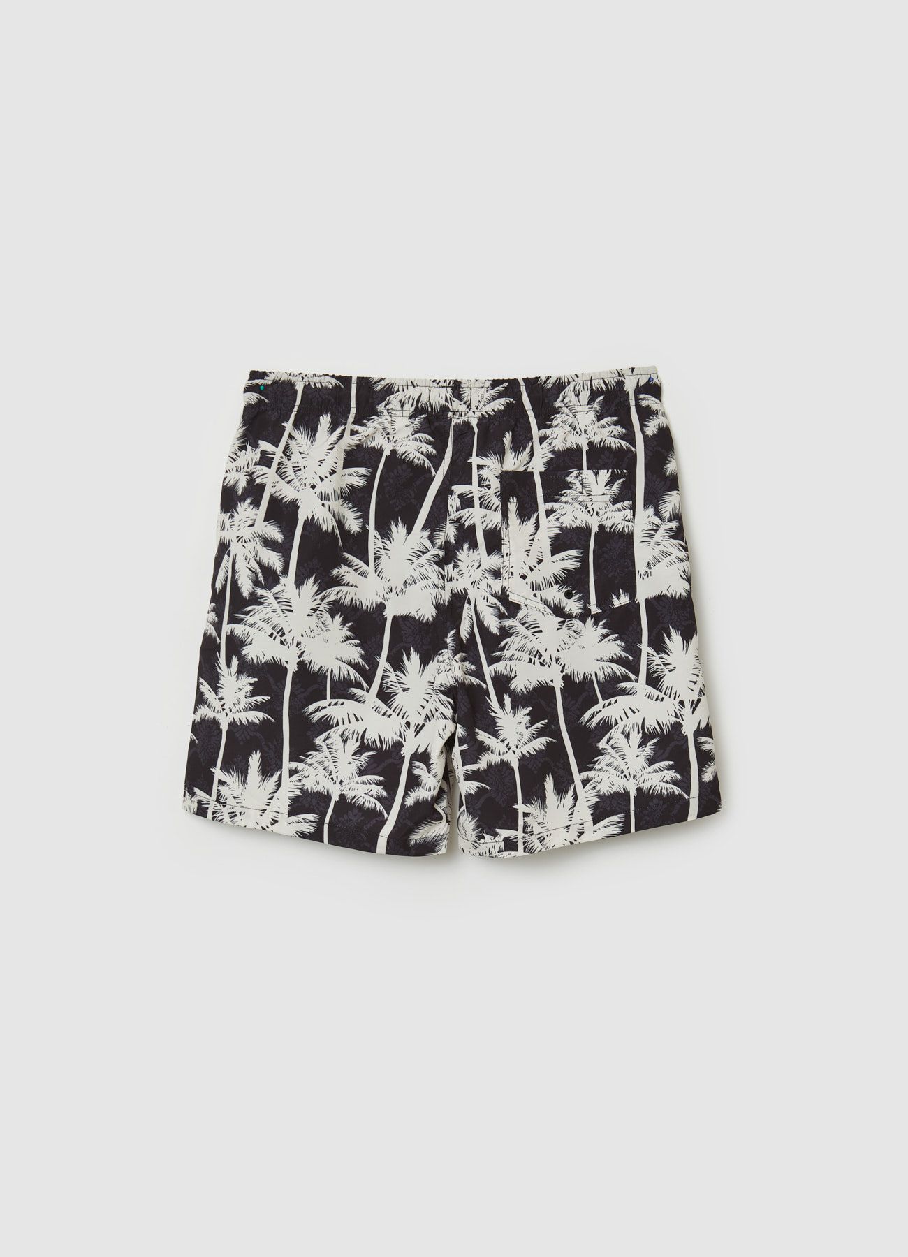 Bikini briefs Man Calliope det_5