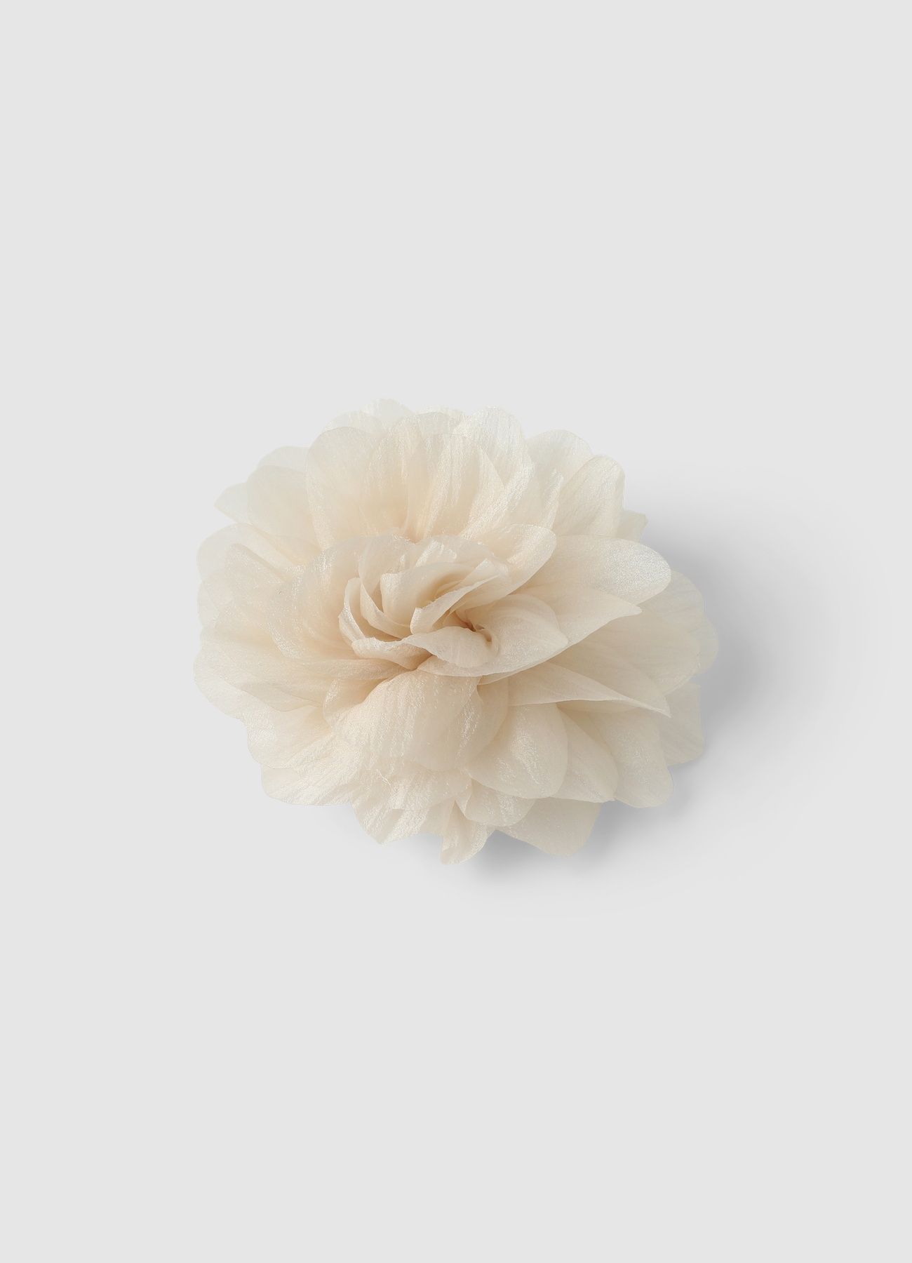 Accessori Žene Calliope st_a3